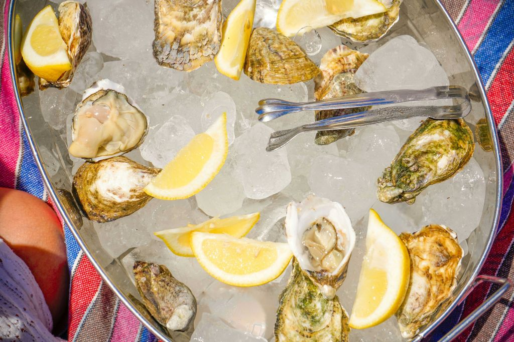 Algarve: Catamaran Cruise with Oysters and Wine from Vilamoura