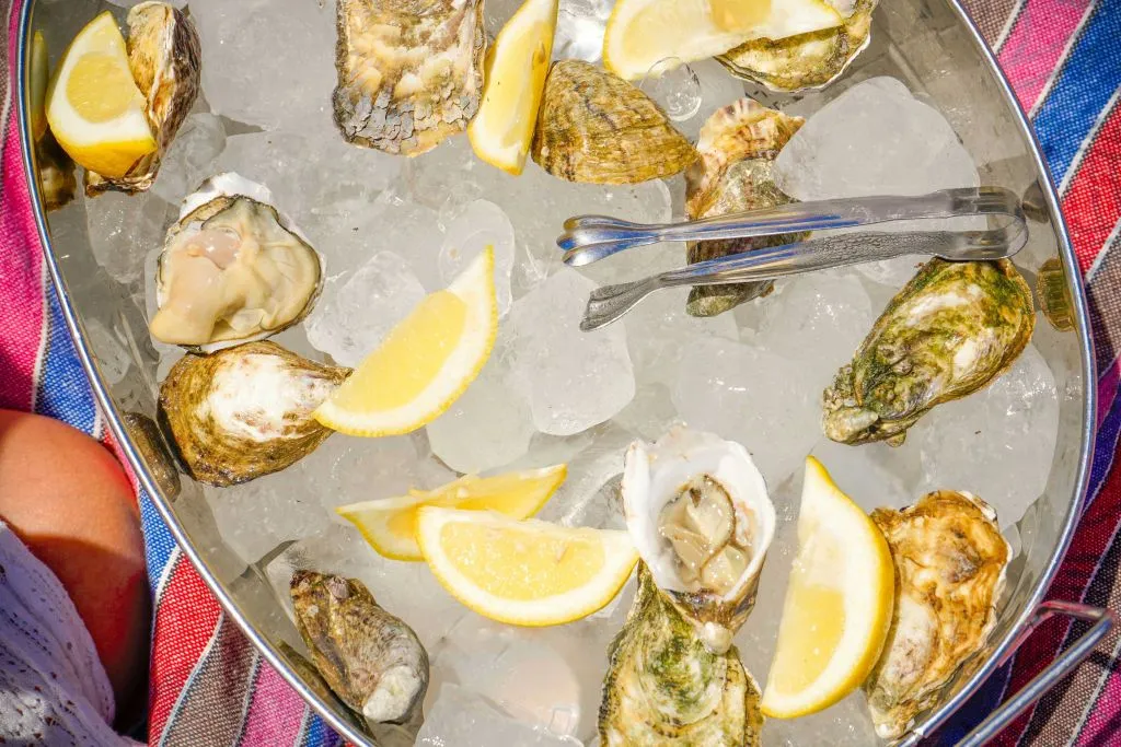 Algarve: Catamaran Cruise with Oysters and Wine from Vilamoura