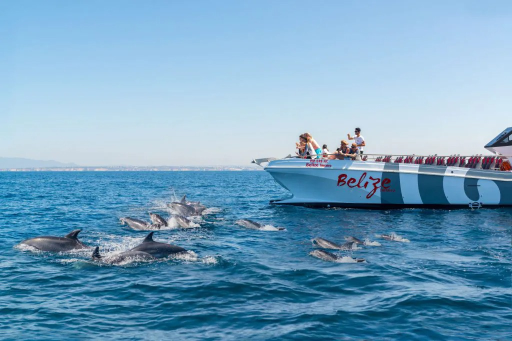 Benagil et observation des dauphins : excursion en catamaran depuis Albufeira