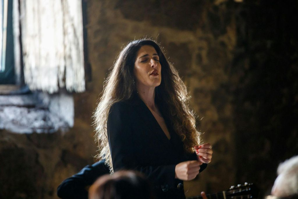 The Best of Porto:  Live Fado Show, Port Wine and Porto Dinner