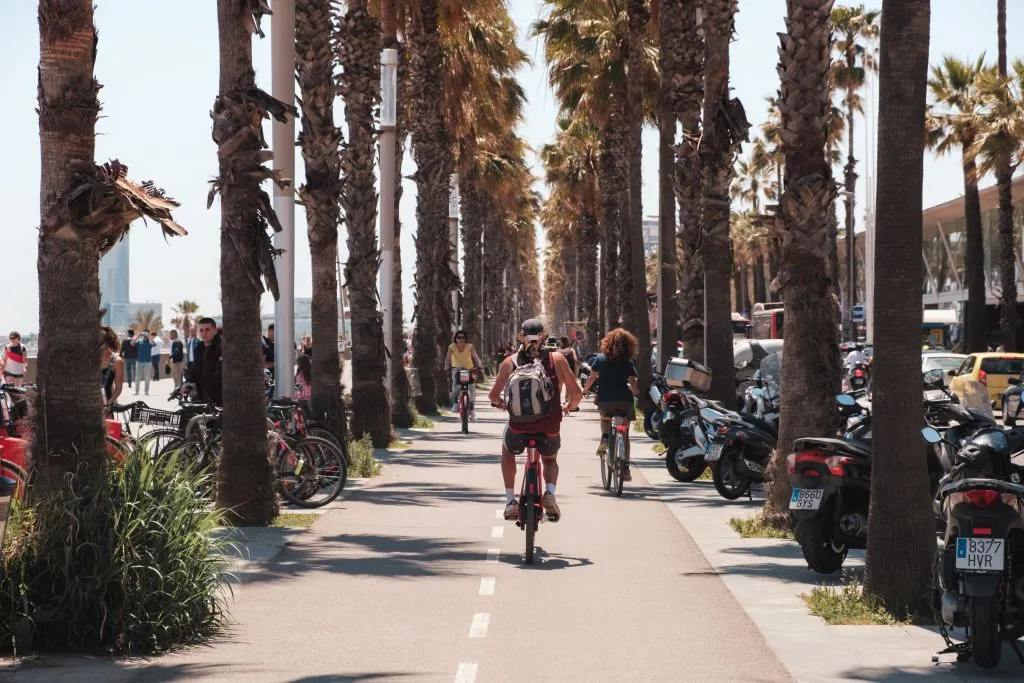 Barcelona City Bike Tour | Highlights and Hidden Gems