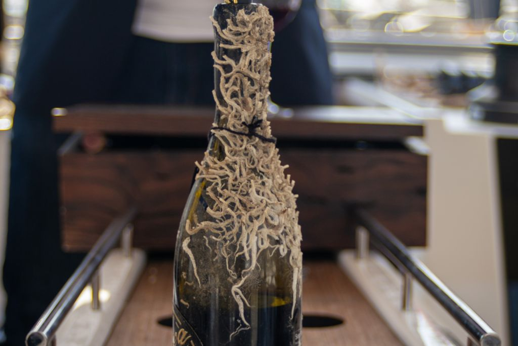 Barcelona: Experiencia de 2 horas en velero + Cata de vinos bajo el agua