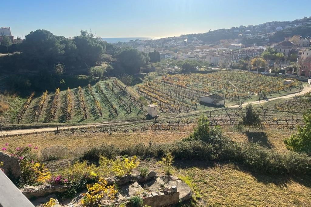 Shared Sailing Excursion and Winery Visit in Alella