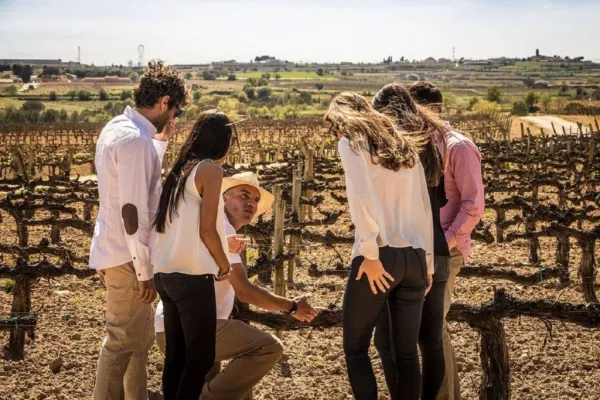 Barcelona: Experiencia en velero para grupos reducidos + Visita y cata de vinos