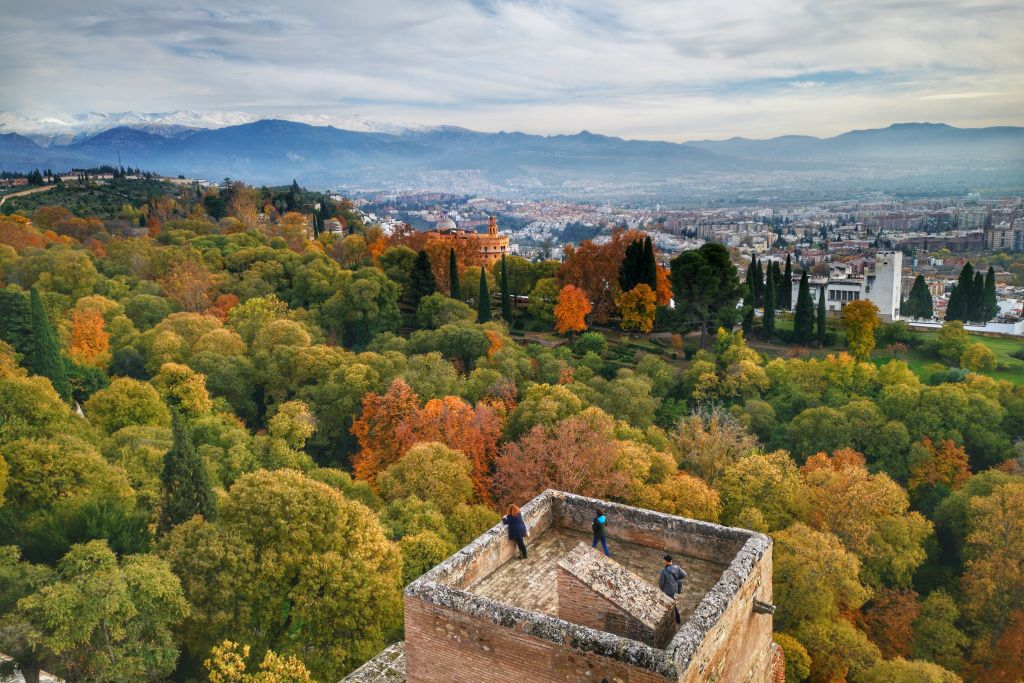 Alhambra y Palacios Nazaríes: Visita guiada + Experiencia gastronómica local