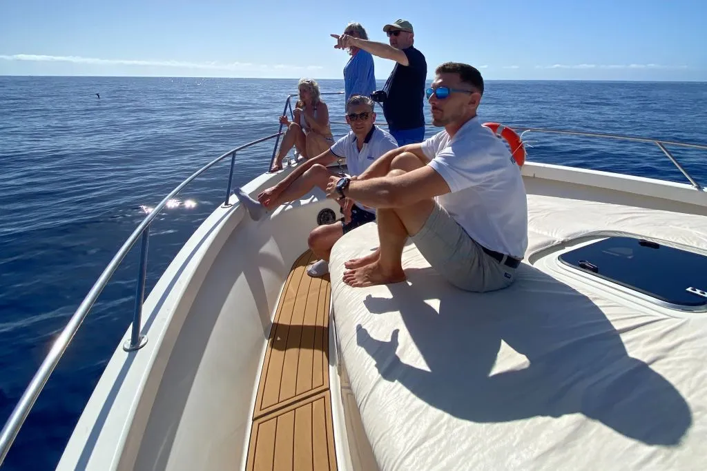 Mejor excursión en barco en Tenerife