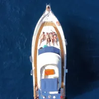 Best Boat Trip in Tenerife