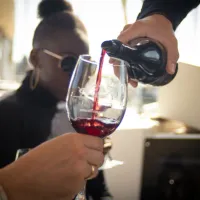 Wine Tasting and Sailing Adventure