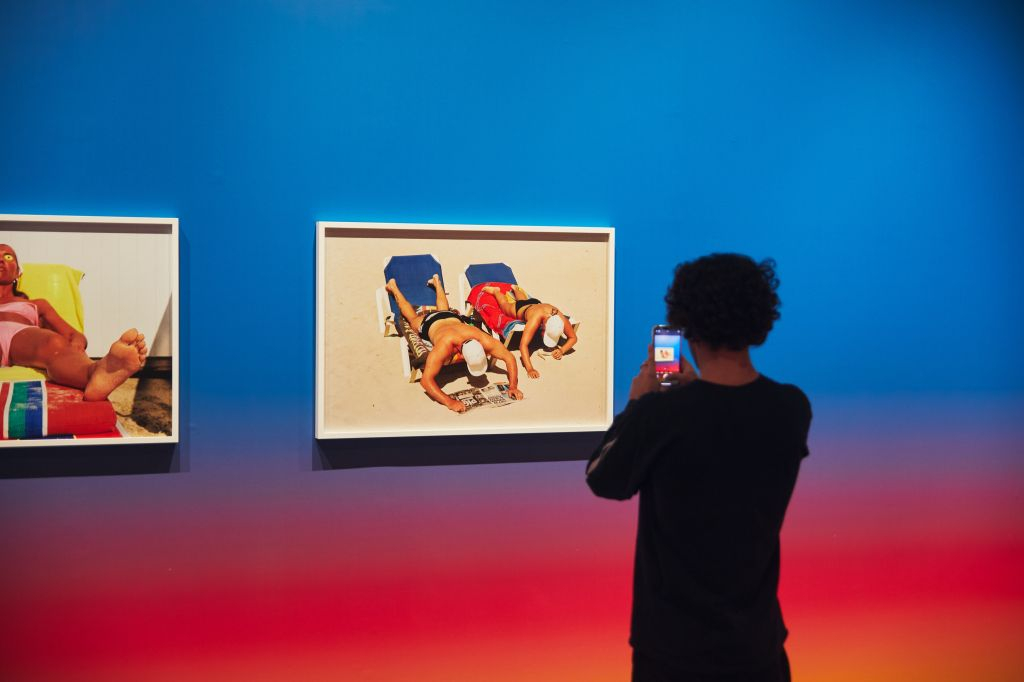 Hangar Y: “Seizing the Sun” Exhibition (Including Park)