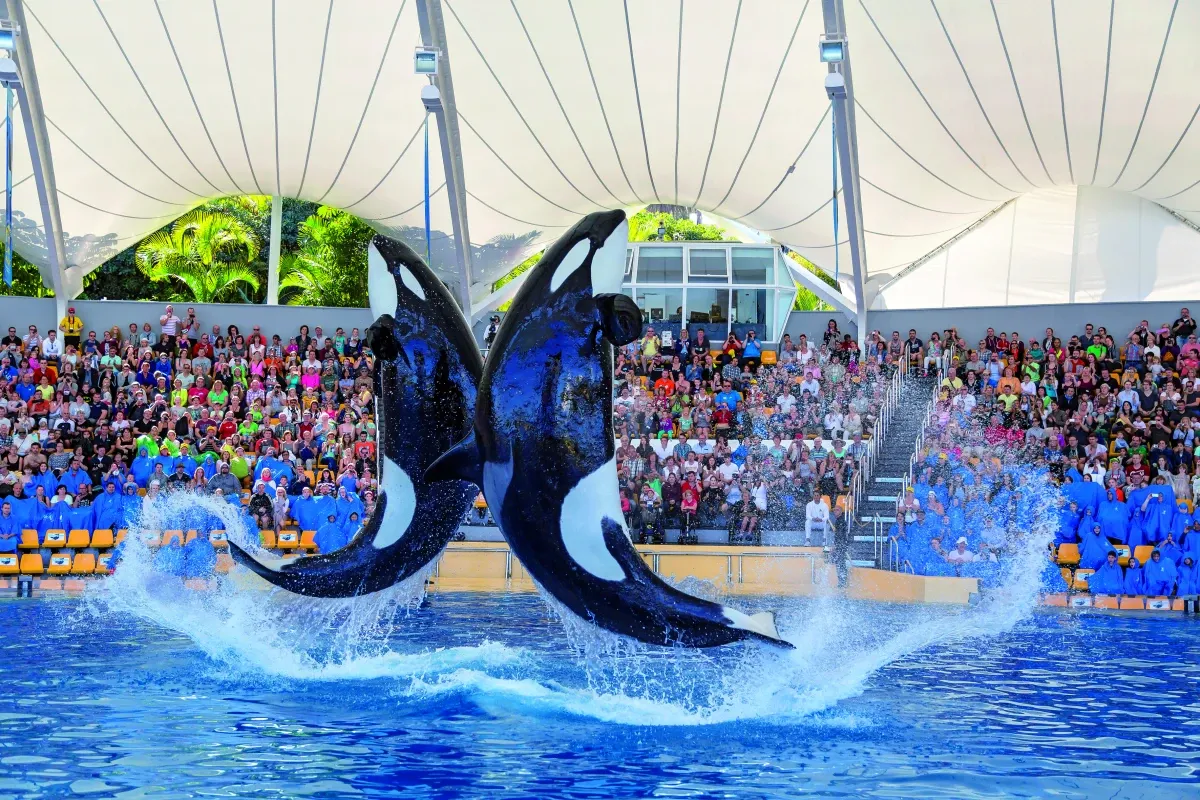 Loro Parque