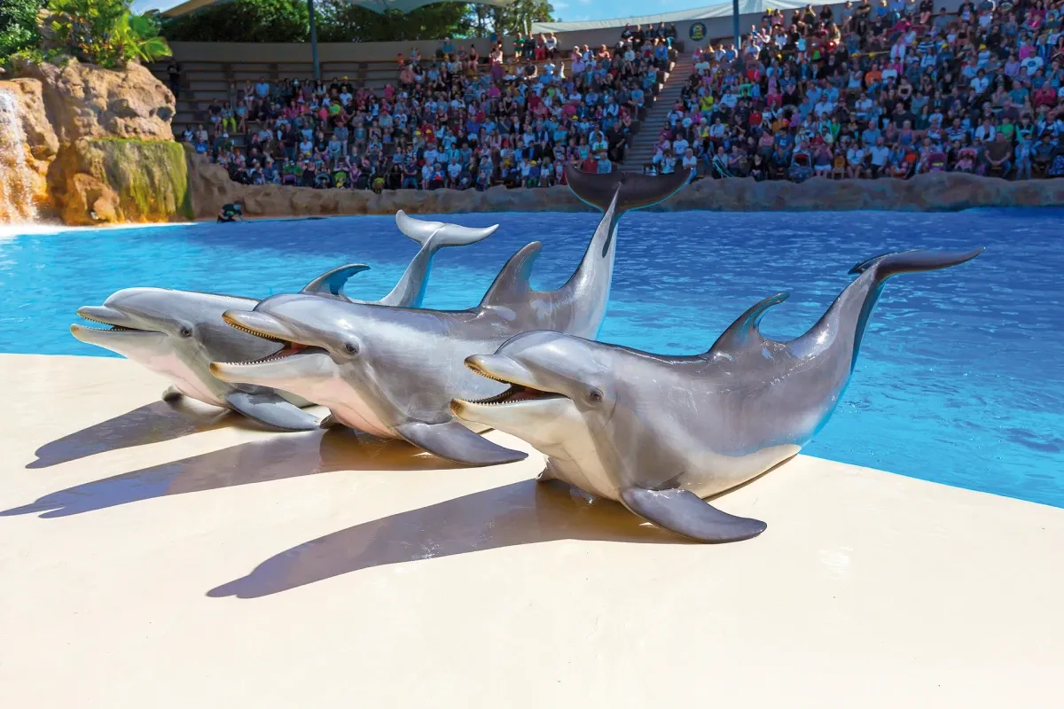 Loro Parque