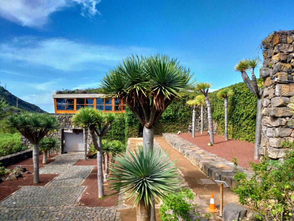 Parque del Drago
