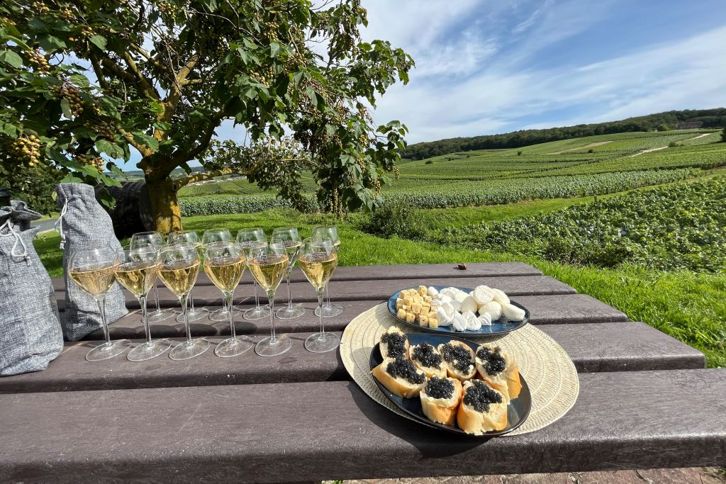 Reims: Champagne Tasting with Cellars Visit Day Trip from Paris