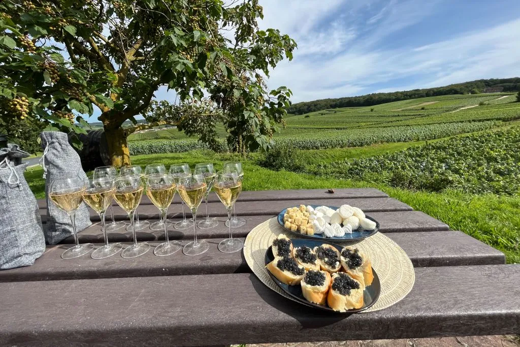 Reims: Champagne Tasting with Cellars Visit Day Trip from Paris