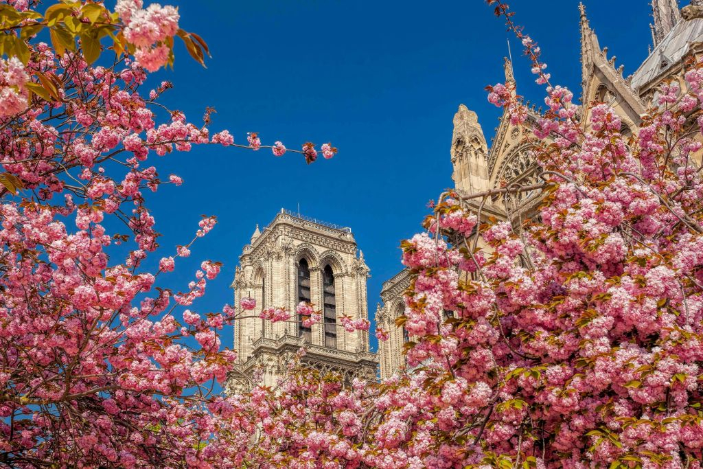 Paris: Sightseeing Tour with Audio Guide