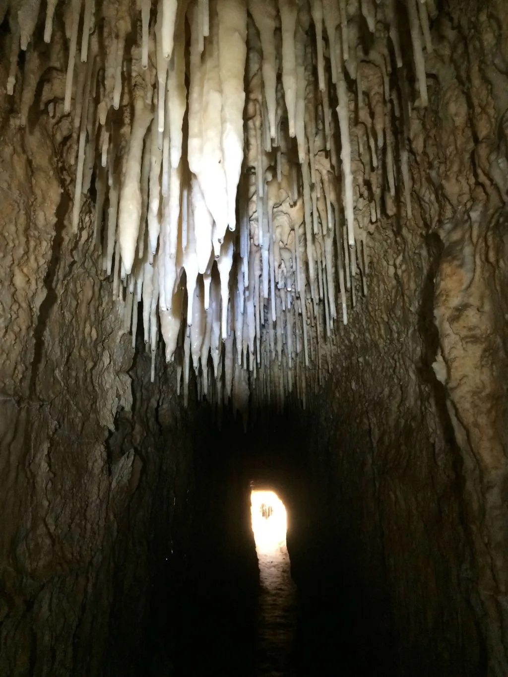 Giardino della Kolymbethra e Ipogeo: Tour Guidato