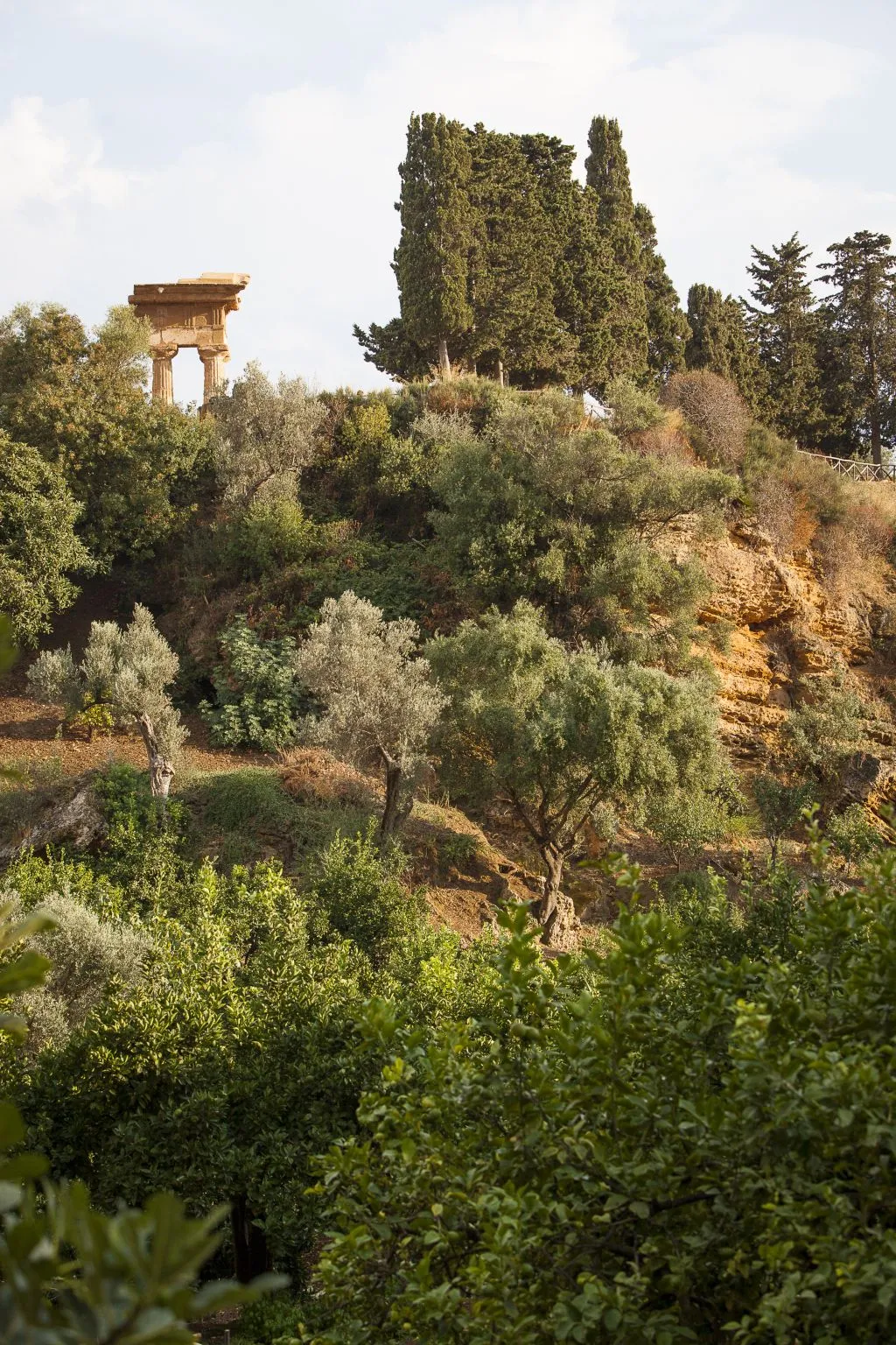 Giardino della Kolymbethra e Ipogeo: Tour Guidato