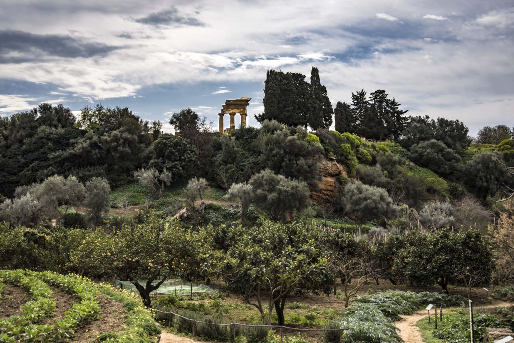 Giardino della Kolymbethra e Ipogeo: Tour Guidato