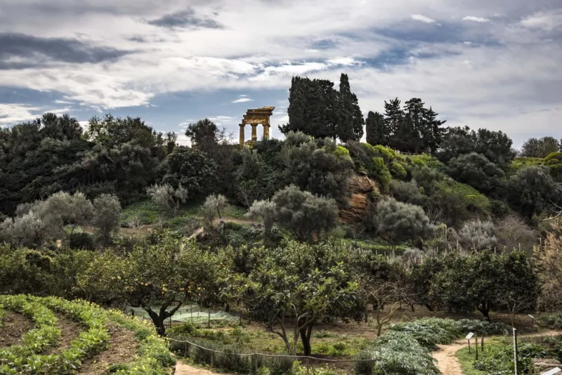 Giardino della Kolymbethra e Ipogeo: Tour Guidato