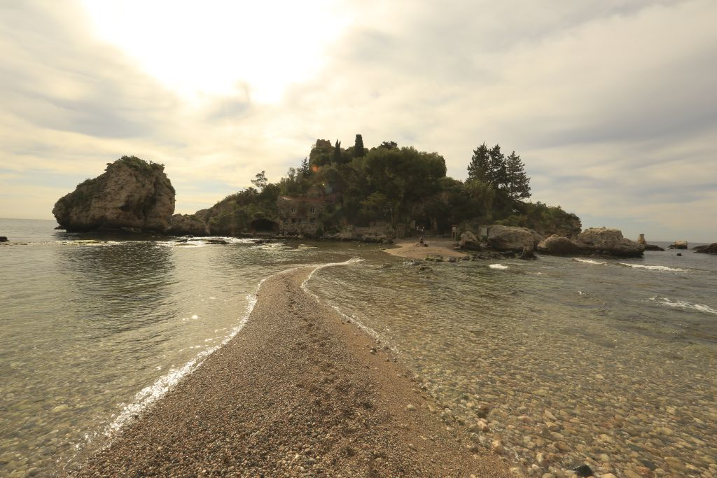 Museo Naturalistico Regionale di Isolabella: Biglietto d'ingresso