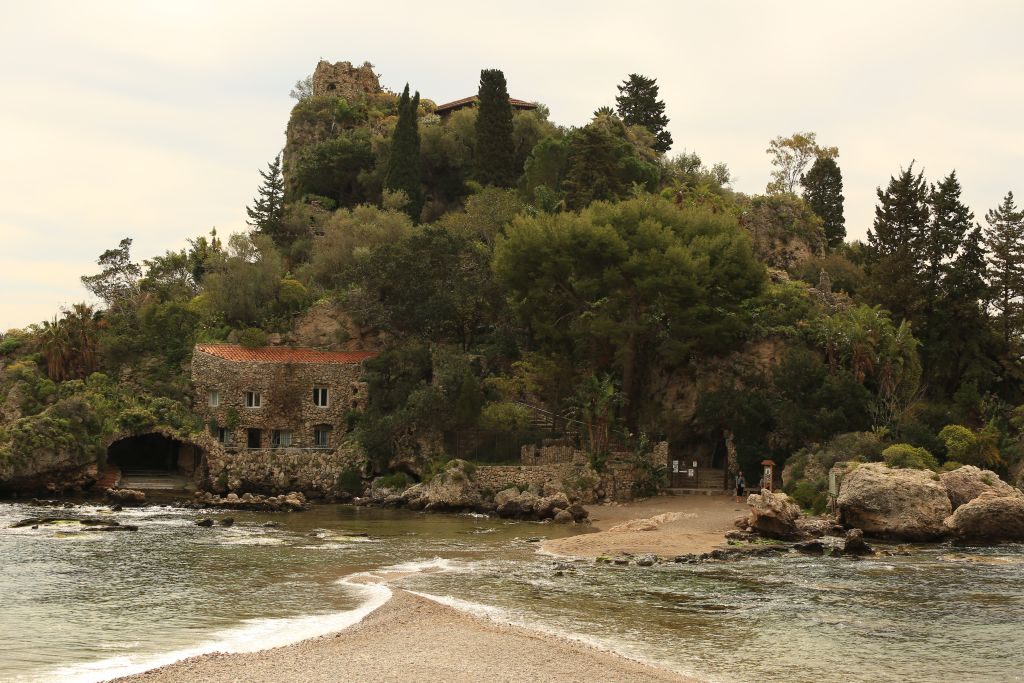 Museo Naturalistico Regionale di Isolabella: Biglietto d'ingresso