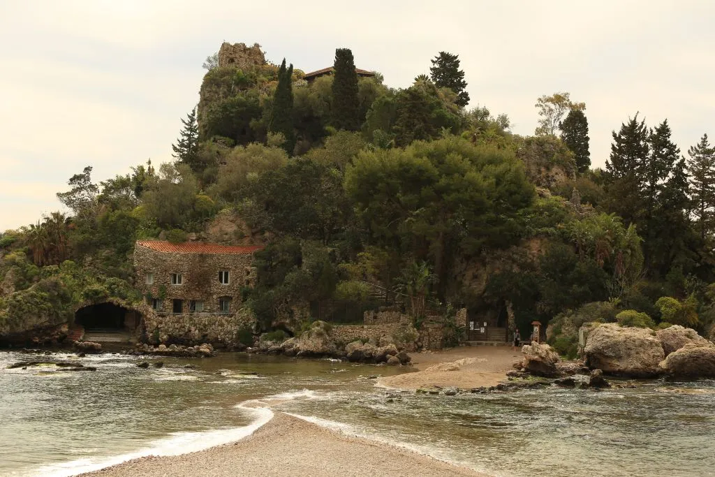 Museo Naturalistico Regionale di Isolabella: Biglietto d'ingresso