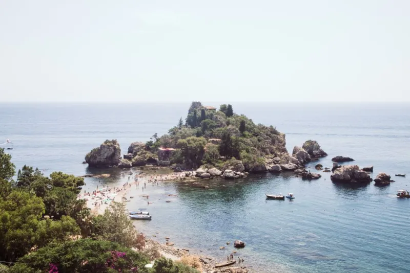 Museo Naturalistico Regionale di Isolabella: Biglietto d'ingresso