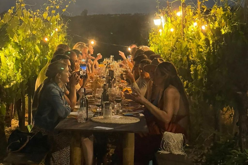 Chianti Region: Day Trip from Florence + Vineyard Dinner