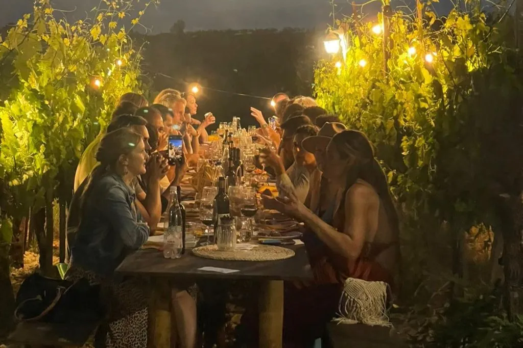 Chianti Region: Day Trip from Florence + Vineyard Dinner