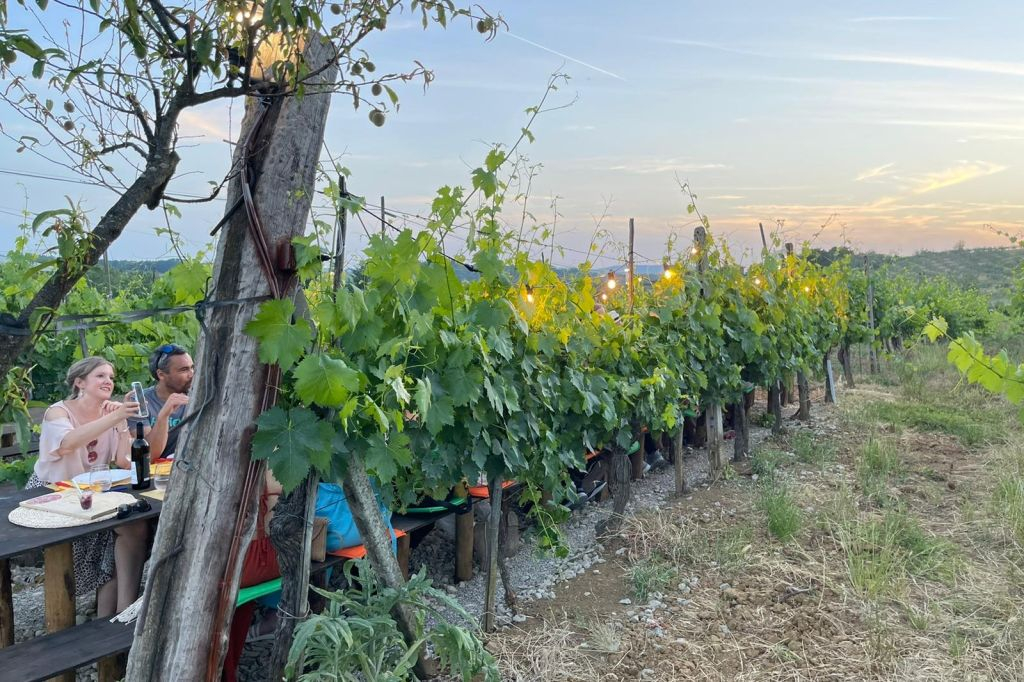 Chianti Region: Day Trip from Florence + Vineyard Dinner