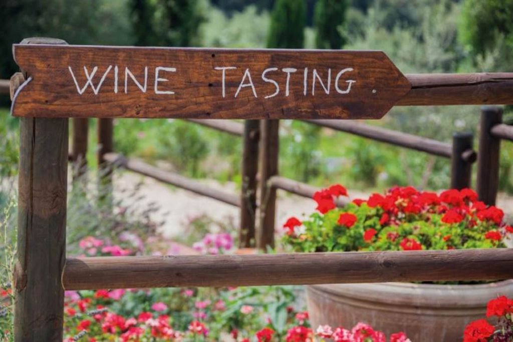 Montalcino: Wine Tasting Tour from San Gimignano