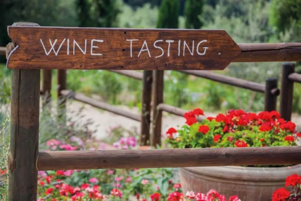 Montalcino: Wine Tasting Tour from San Gimignano