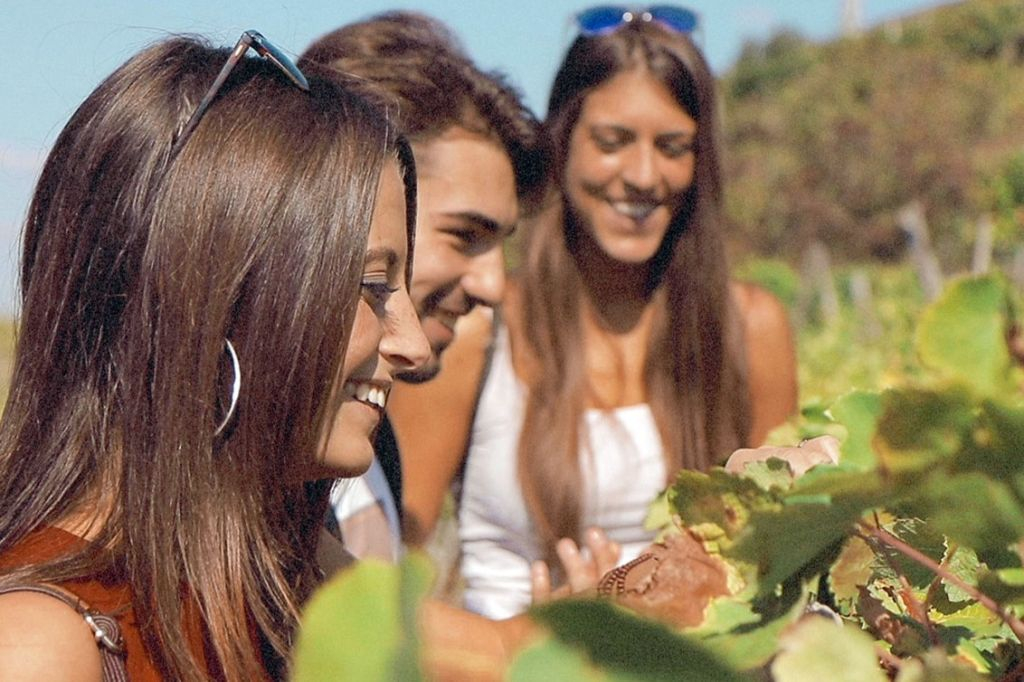 Cinque Terre: Excursión semiprivada de un día desde Florencia + Comida marinera