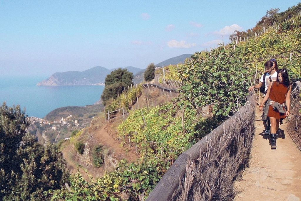 Cinque Terre: Excursión semiprivada de un día desde Florencia + Comida marinera