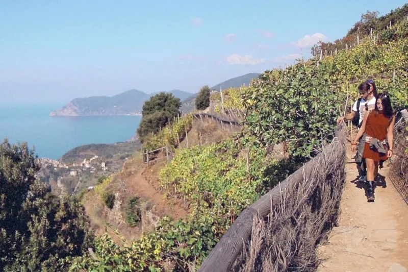Cinque Terre: Semi-Private Day Trip from Florence + Seafood Lunch