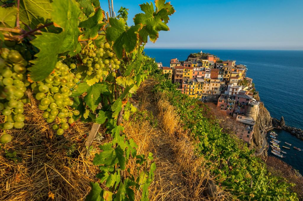 Cinque Terre: Excursión semiprivada de un día desde Florencia + Comida marinera