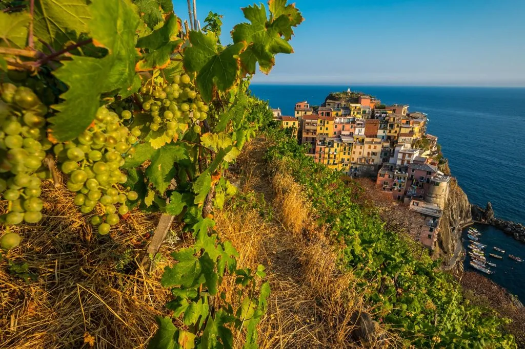 Cinque Terre: Semi-Private Day Trip from Florence + Seafood Lunch
