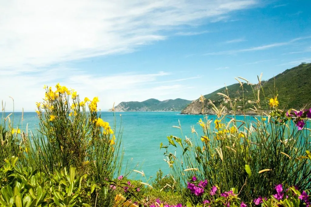 Cinque Terre: Semi-Private Day Trip from Florence + Seafood Lunch