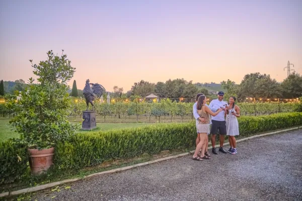 Chianti: tour guidato delle cantine da Firenze + cena