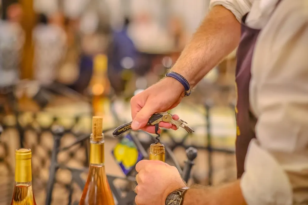 Siena: Dinner in Chianti with Wine Tasting