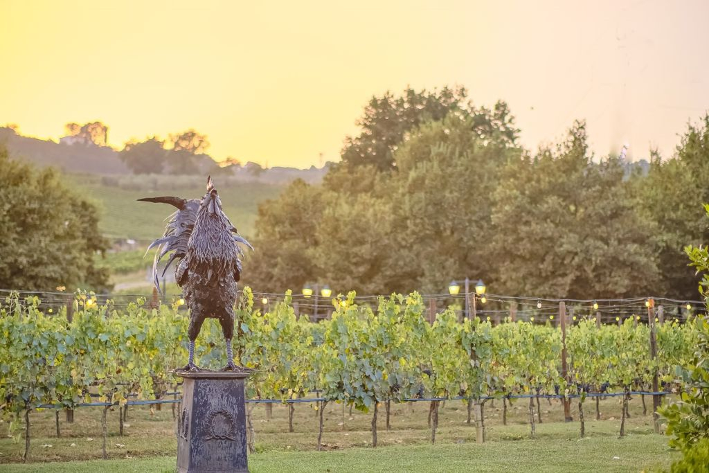 Siena: Dinner in Chianti with Wine Tasting
