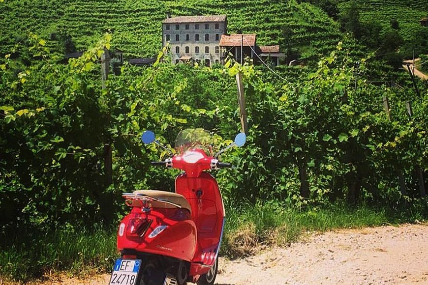 Chianti : Tour panoramique en Vespa + tickets de dégustation de vin