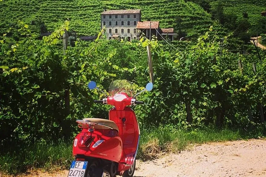 Chianti: Scenic Vespa Tour + Wine Tasting Tickets