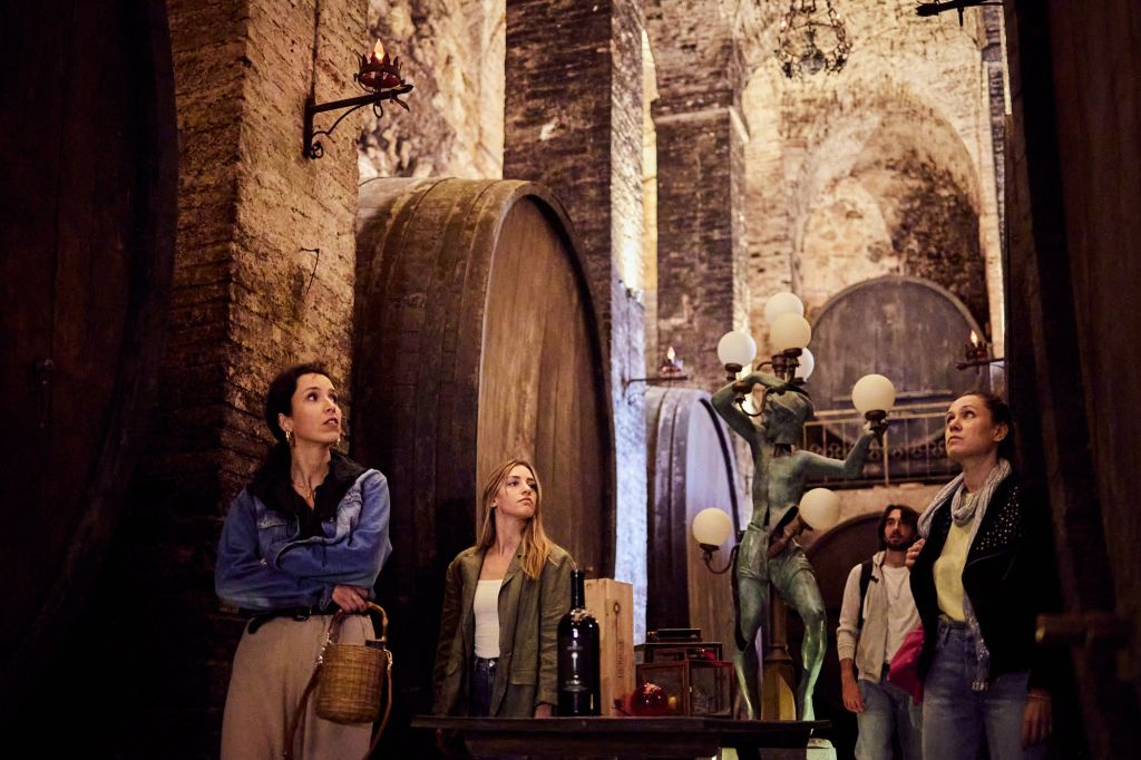 Montepulciano: Roundtrip Guided Tour of Two Wine Estates + Wine & Food Tasting