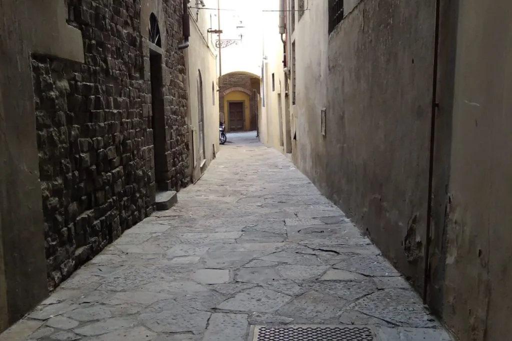 Forbidden Friendships: Renaissance Gay Life in Florence