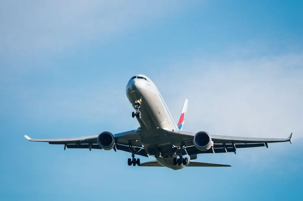 Private Transfer from Civitavecchia Port to Rome City or Airport