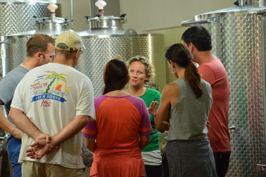 Chianti: Winery Guided Tour + Four Chianti Wines Tasting