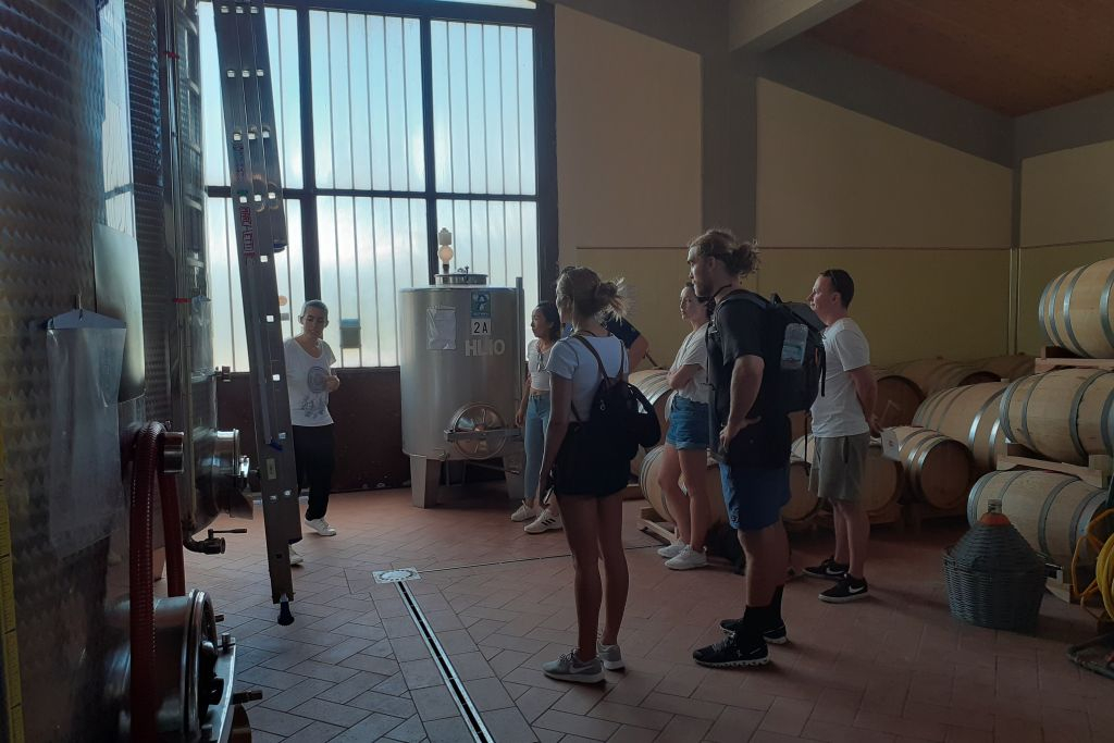 Chianti: Visita Guiada a Bodegas + Cuatro Catas de Vino Chianti + Degustación de Bruschetta y Quesos