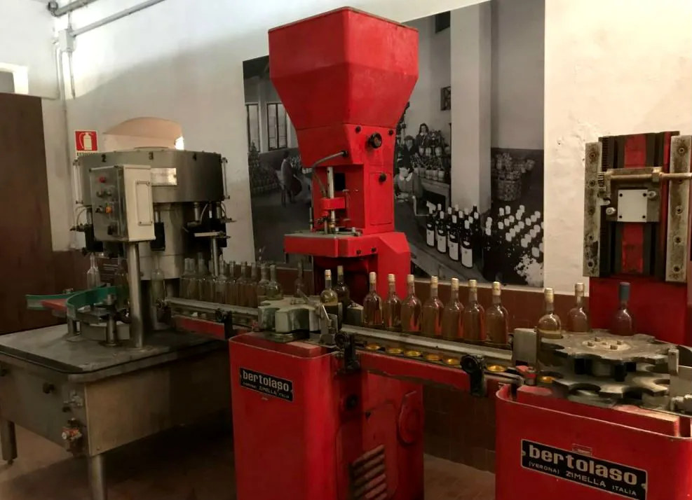 MUVIS Museo del Vino