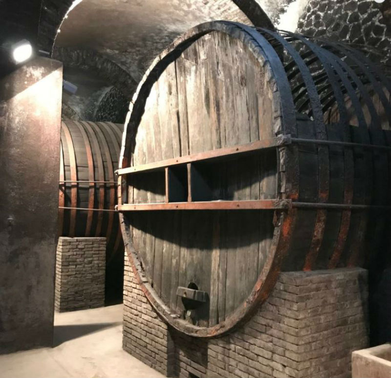 MUVIS Museo del Vino